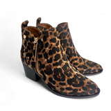 Xti 14464 Leopard