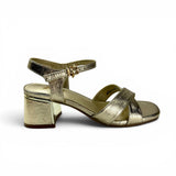 Xti 14534 Gold