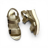 Xti 14525 Gold