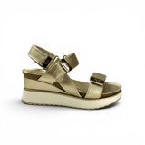 Xti 14525 Gold