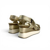 Xti 14525 Gold