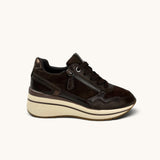 XTi 146169 Brown