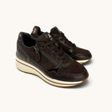 XTi 146169 Brown