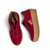 Gabor 73.350 Merlot