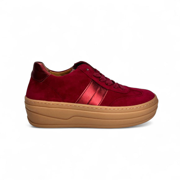 Gabor 73.350 Merlot