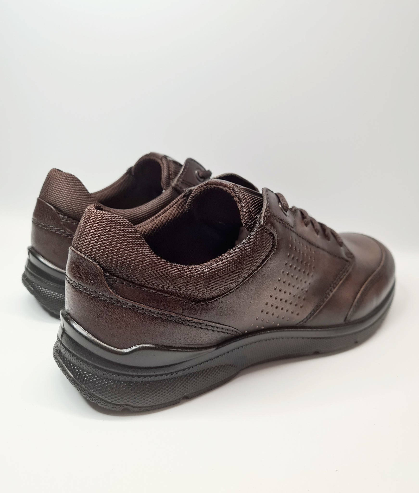 Ecco  STREET TRAY BROWN GTX Sneakers on labotte